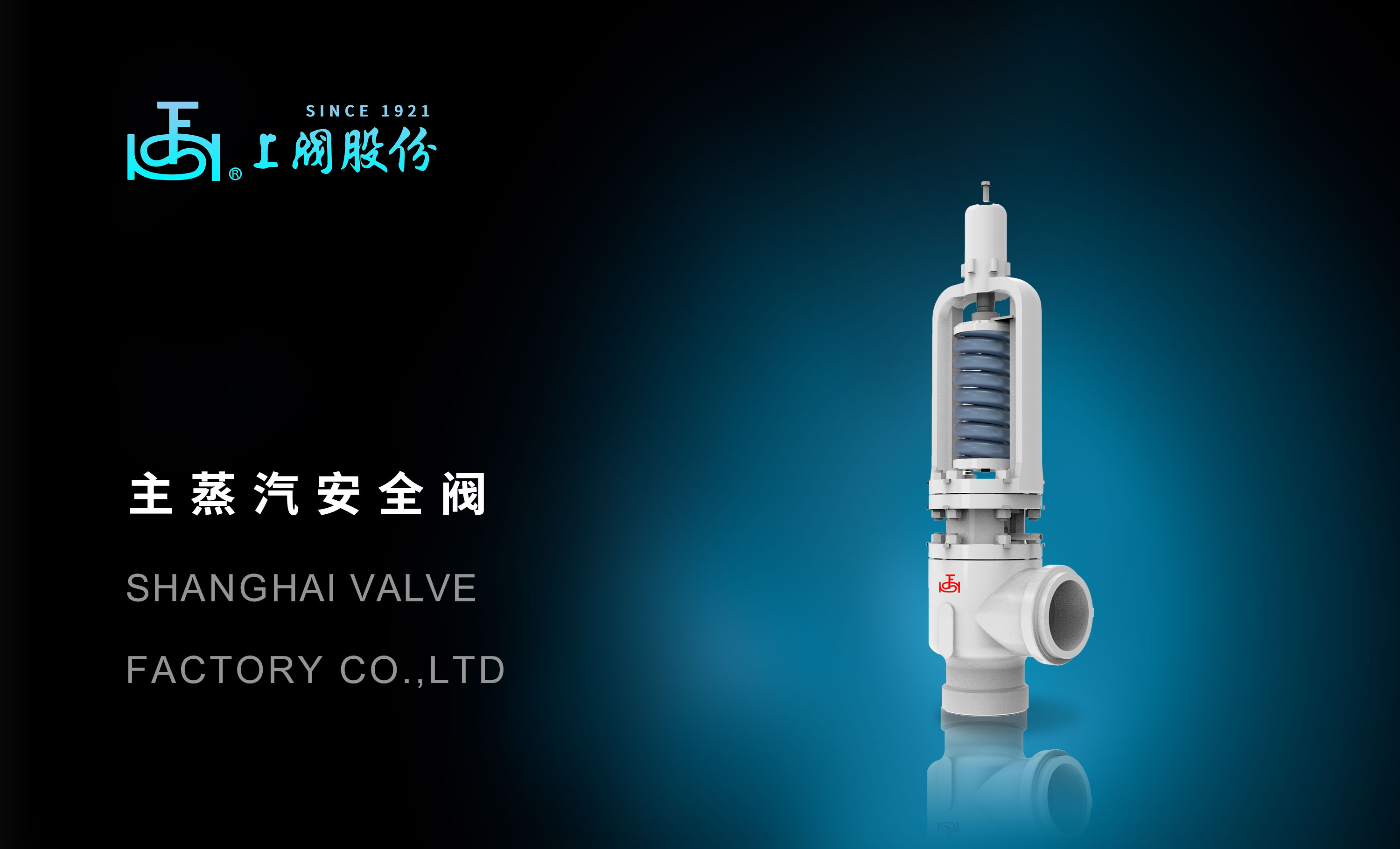 主蒸汽安全阀(1).jpg